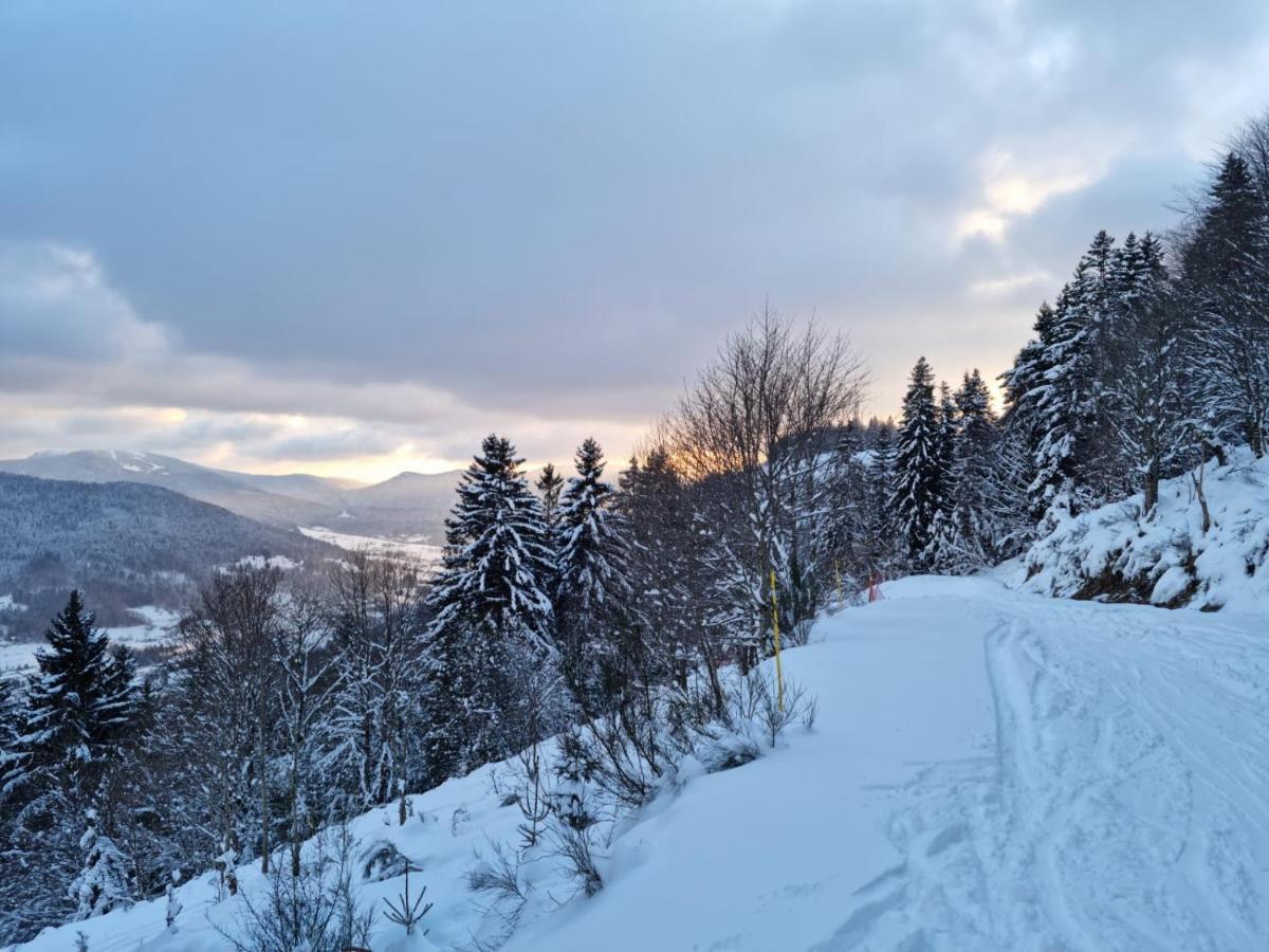 뷔쌍 Les Randogodilleurs Avec Jacuzzi A 2Kms Des Pistes Et 350M Du Theatre Du Peuple ! 빌라 외부 사진